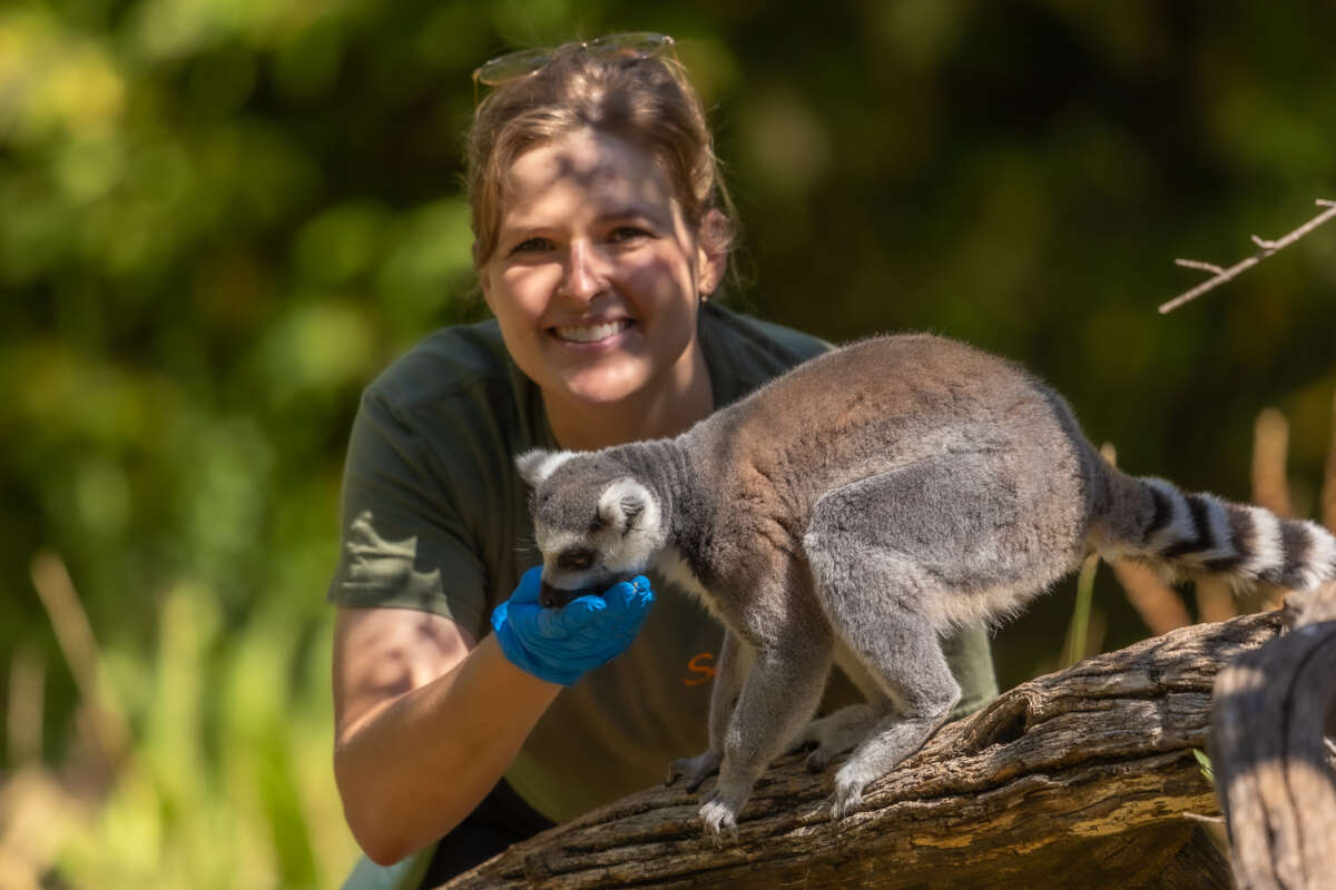Fae with a lemur