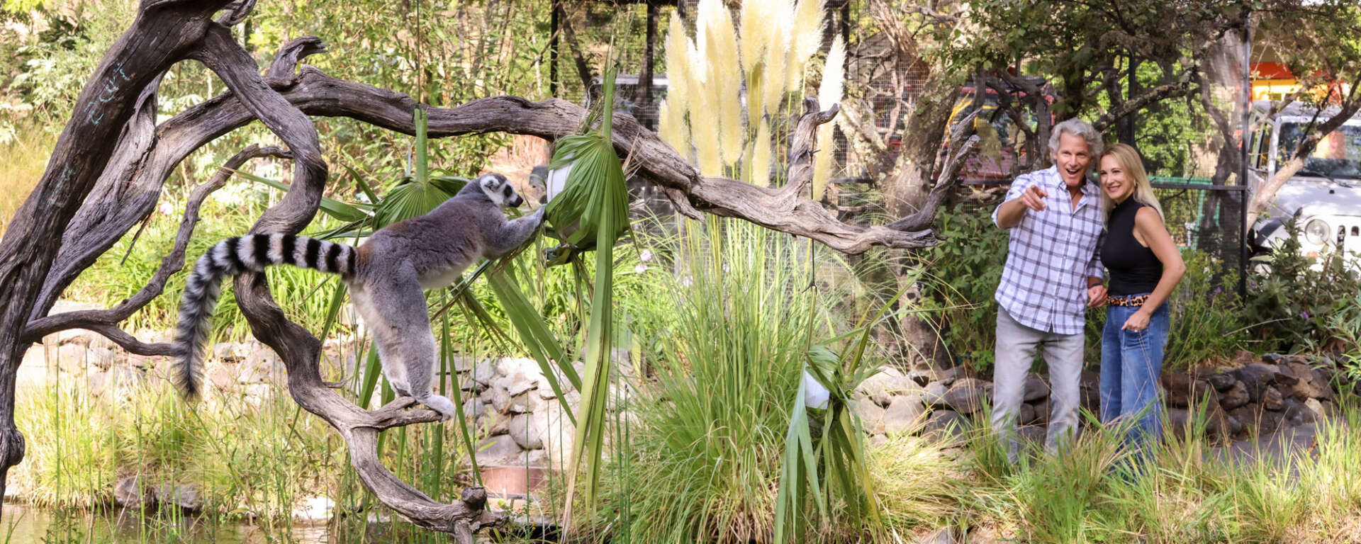 Enrichment Tour - Providing enrichment item to animal