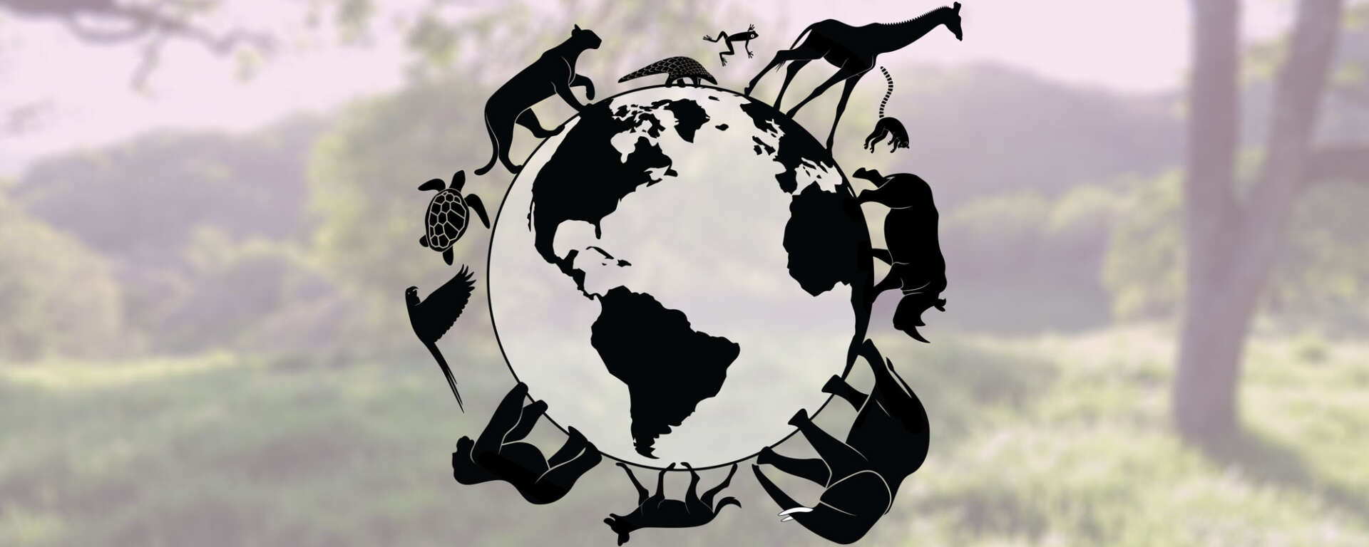 Research, Education, and Conservation