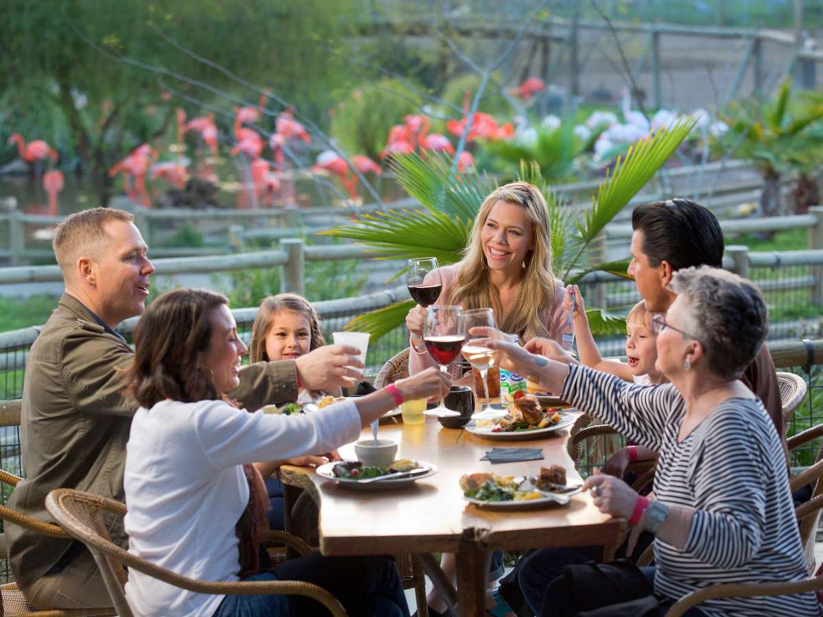 Dining on the Flamingo Terrace