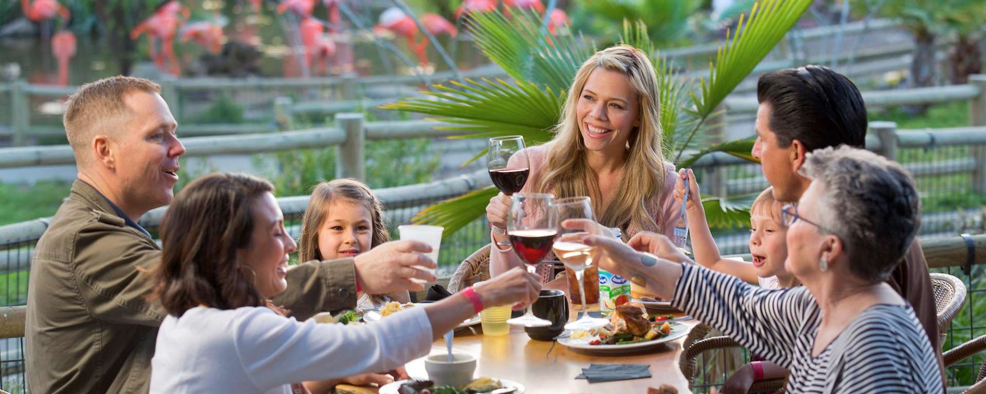 Dining on the Flamingo Terrace