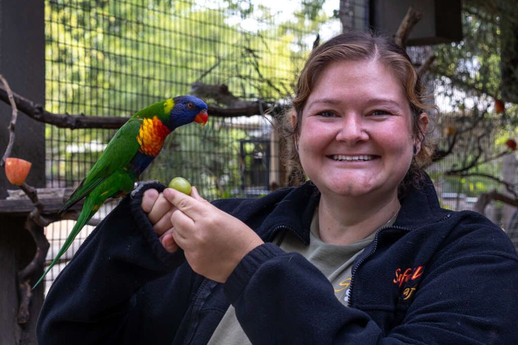 Georgie and Skittles the Rainbow Lorikeet