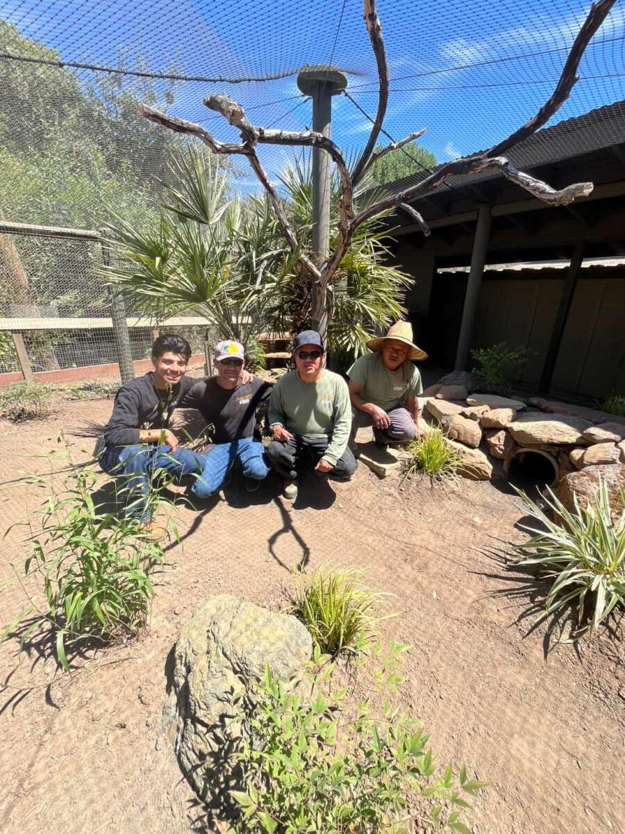 Safari West landscaping team posing after finishing the new fennec fox habitat