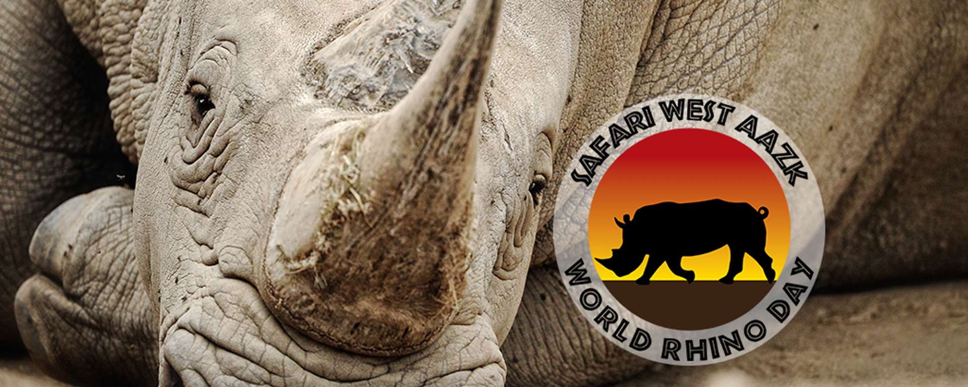 Save the Rhino