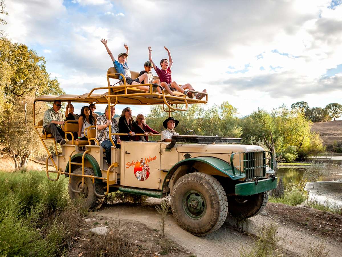 Safari Tour