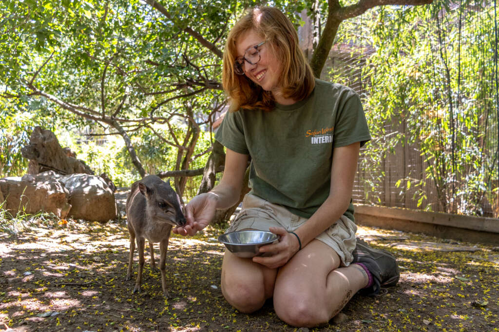 Savannah and Lil the Blue Duiker
