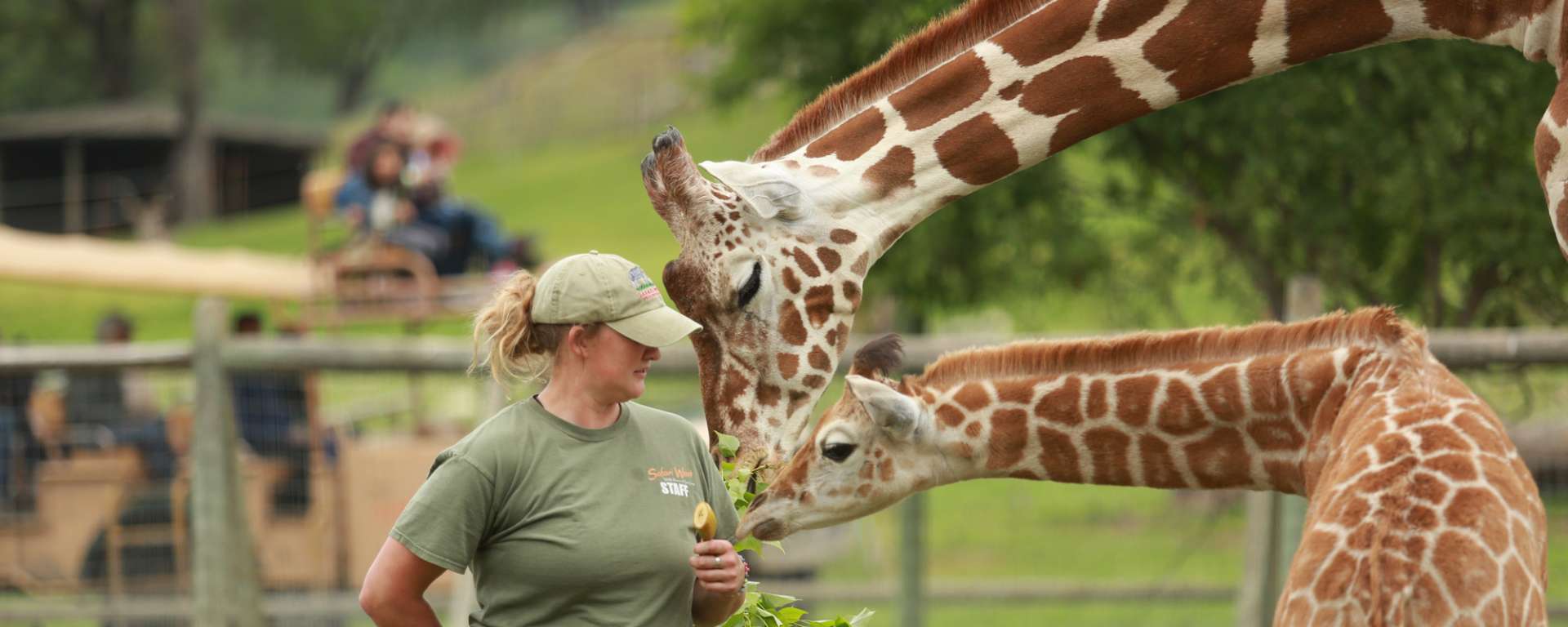 Zoo Keeper Week